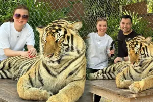 Sevdanın pələnglə macərası