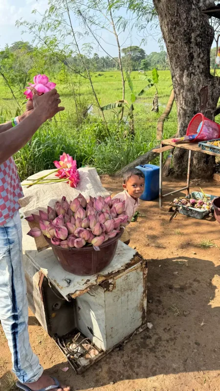 Günay bu dəfə Şri-Lankada
