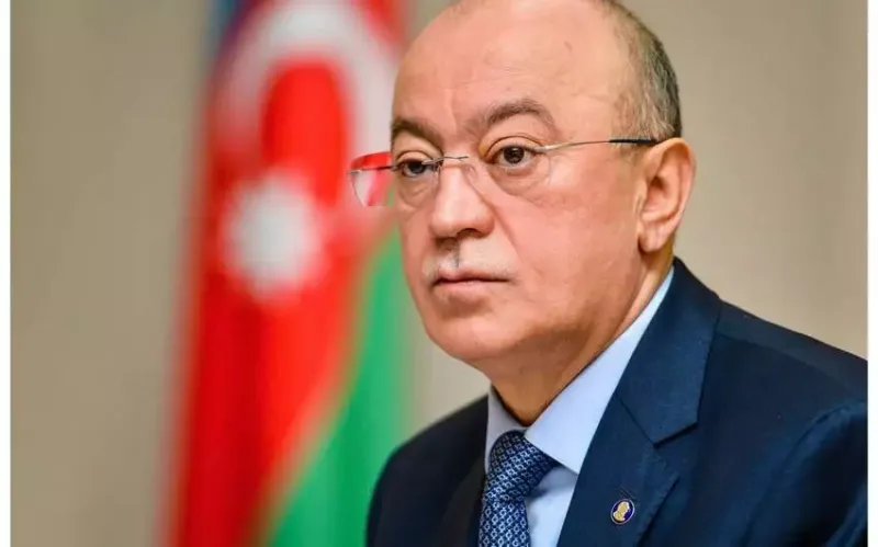 Kəmaləddin Heydərov Aygün Bəylərin qızını himayəsinə götürdü