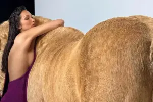 Atın üstünə çıxdı, tənqid olundu