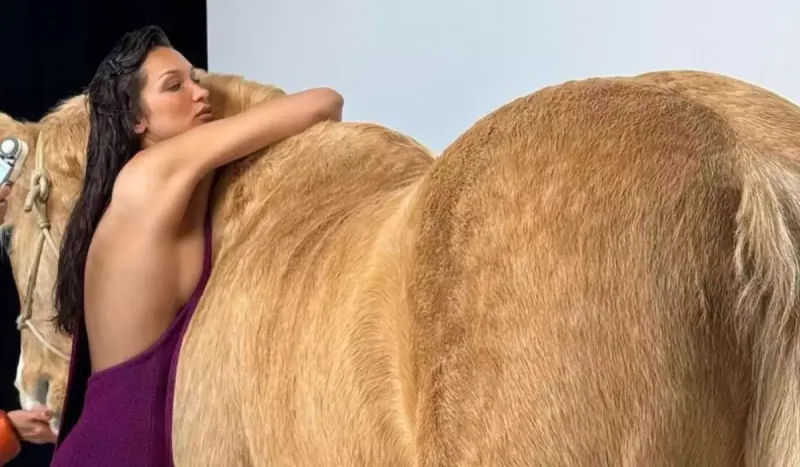 Atın üstünə çıxdı, tənqid olundu