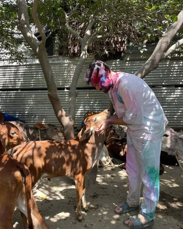 Çingiz Hindistanda Holi bayramında