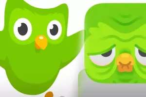 Loqodakı bayquşu “kədərləndirdilər”