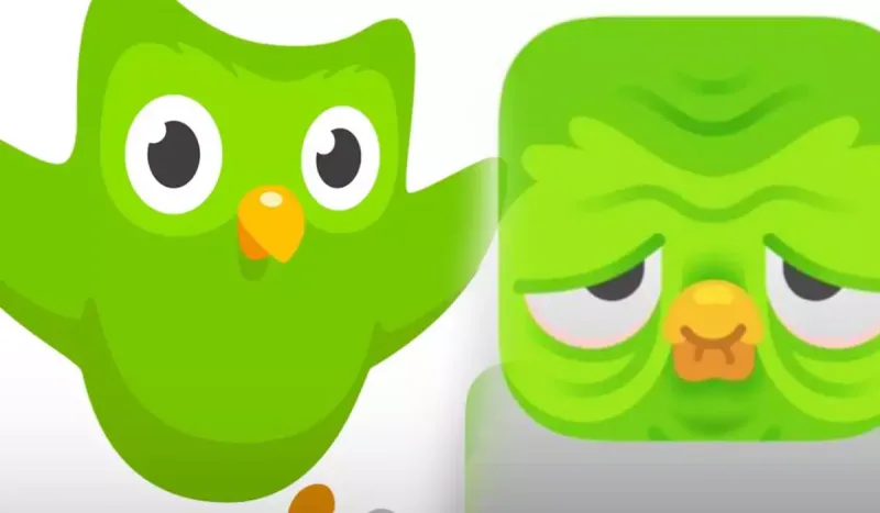 Loqodakı bayquşu “kədərləndirdilər”