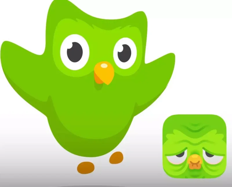 Loqodakı bayquşu “kədərləndirdilər”