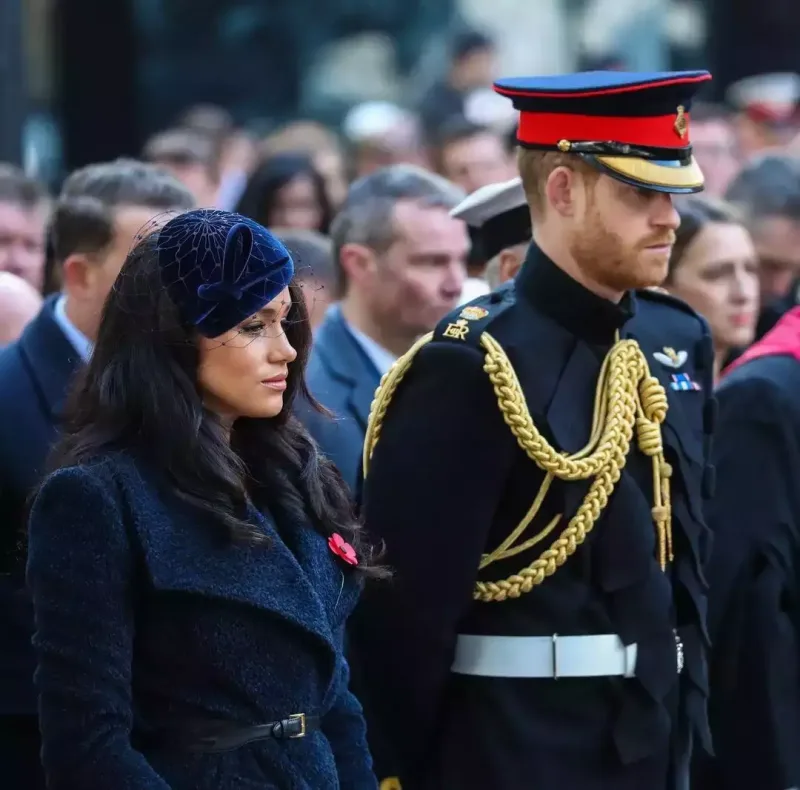 Herri və Meqan serial çəkəcək