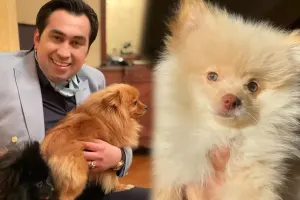 Eltonun evi itlə doludur