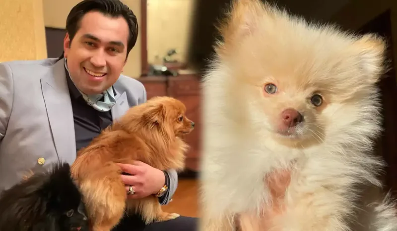 Eltonun evi itlə doludur