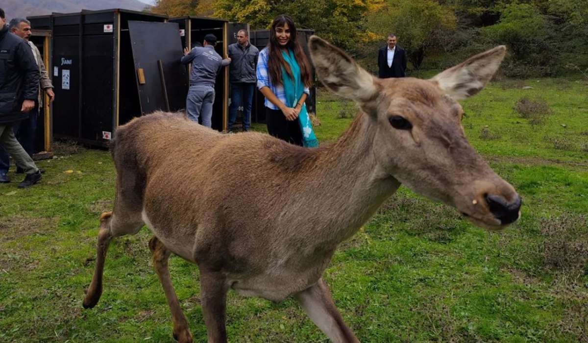 Leyla Əliyeva Şahdağ Milli Parkında - Fotolar