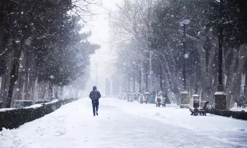 Qar yağacaq, dolu düşəcək