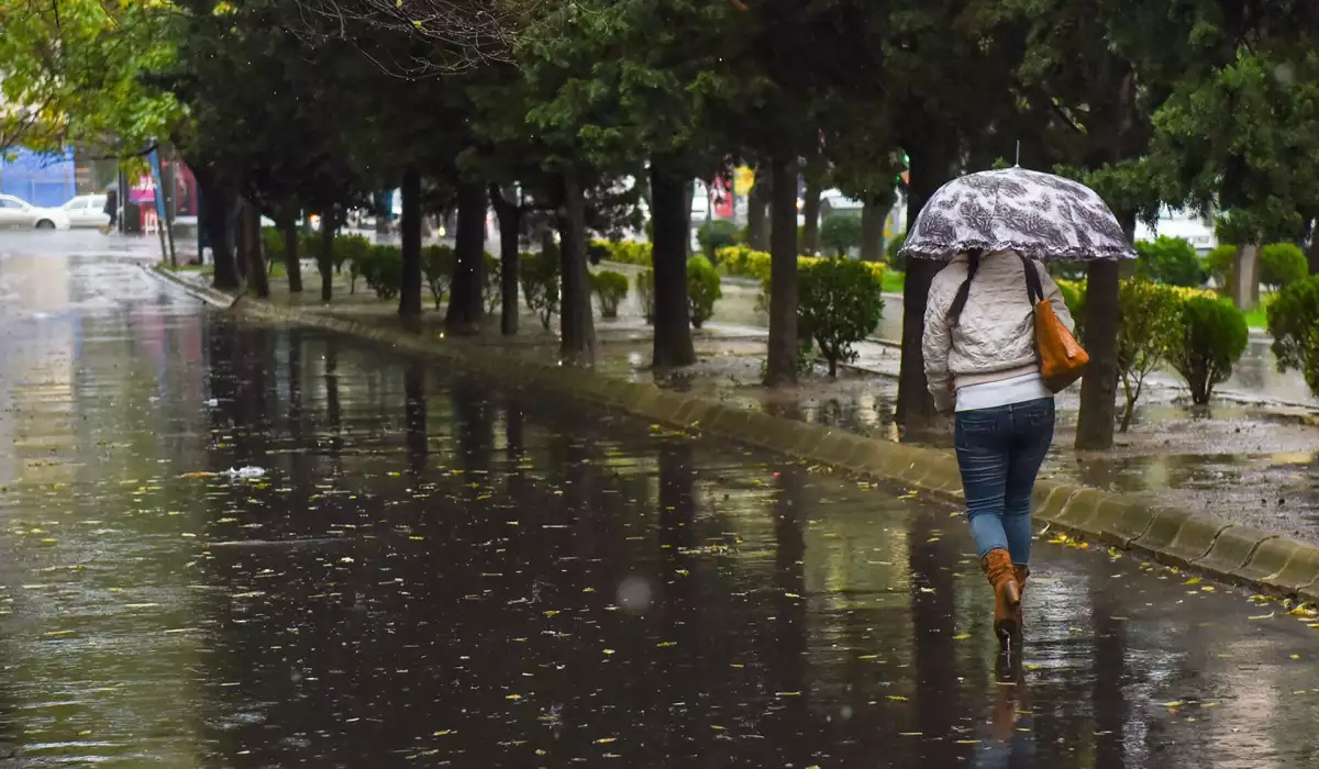 Sabahın havası...