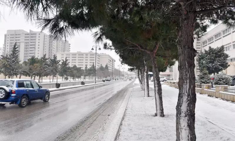 Sabah yenə qar yağacaq, yollar buz bağlayacaq!