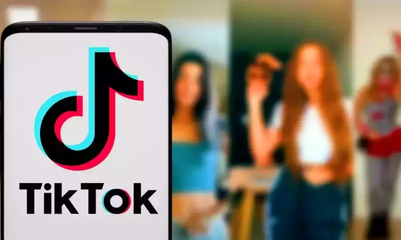 TikTok-da təhqir və böhtan atmaqda ittiham edilənlərlə bağlı qərar