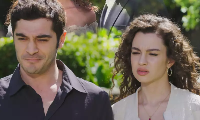 Daha bir serial final edir