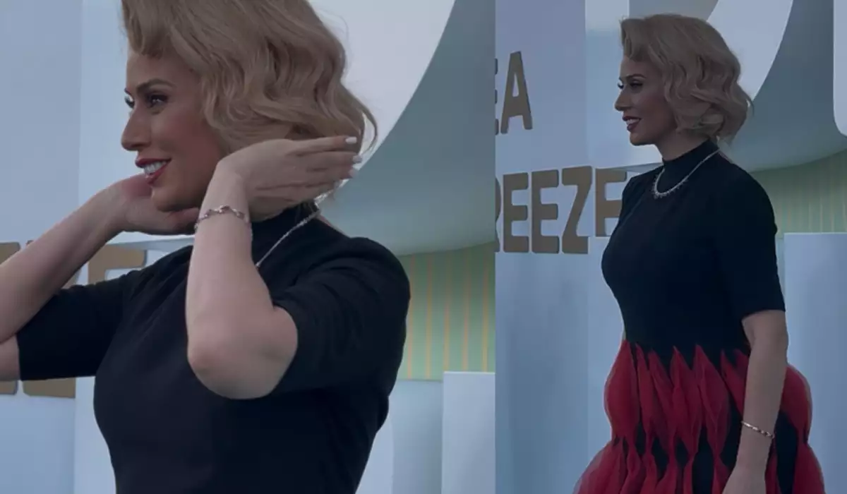 Rozanın “DreamFest” stili