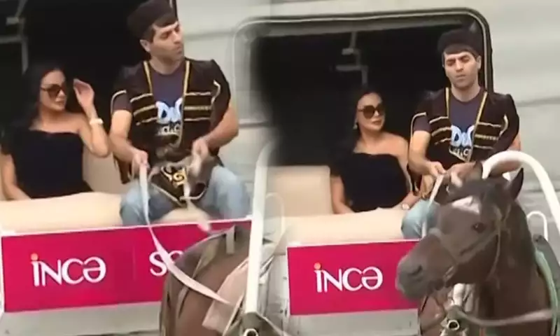 Verilişə faytonla gəldi
