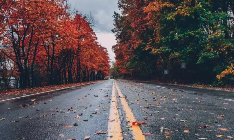 Sabah 25° isti olacaq